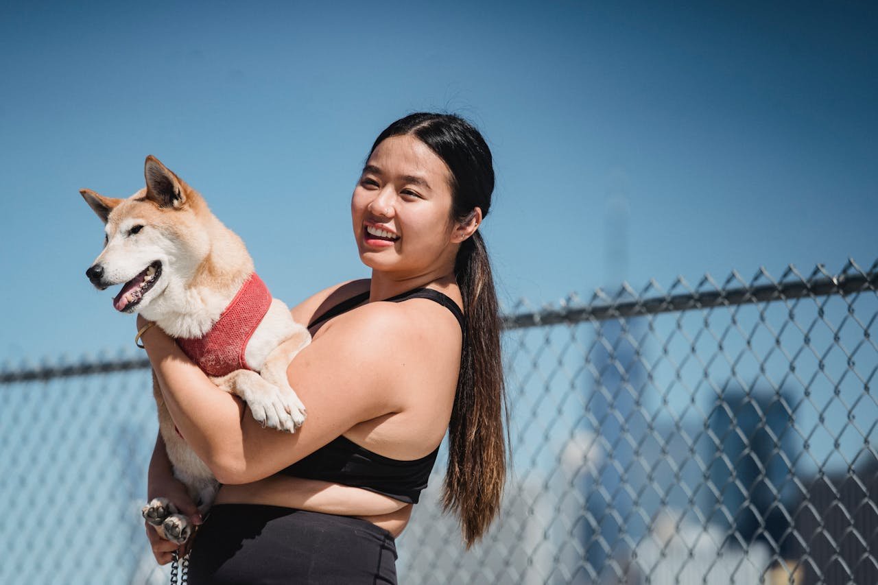 Young woman joyfully holds a Shiba Inu dog in a sunny outdoor setting.